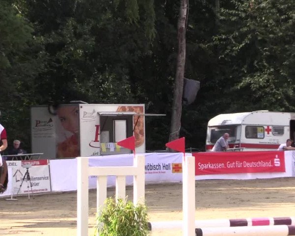 Reitturnier Buchenhof-Ibbenbüren 2016