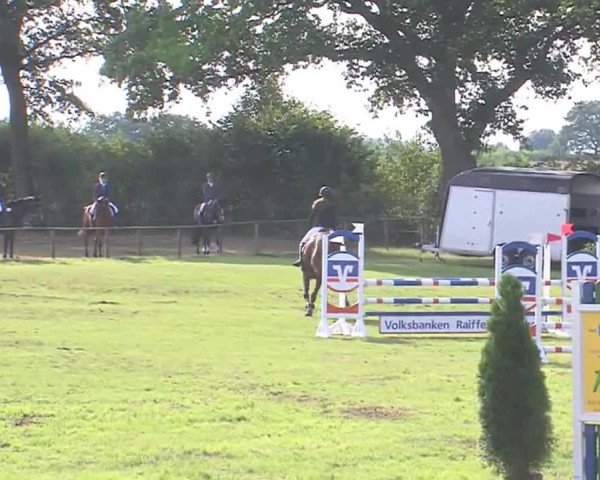 Reitturnier Großensee 2016