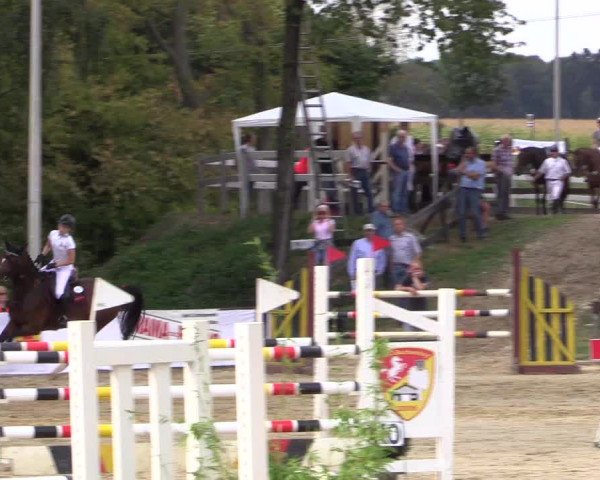 Reitturnier Buchenhof-Ibbenbüren 2016