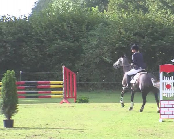 Reitturnier Großensee 2016