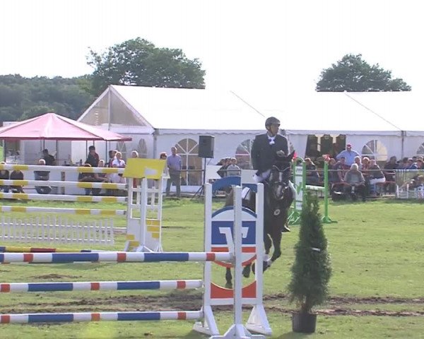 Reitturnier Großensee 2016