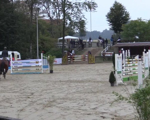 Reitturnier Buchenhof-Ibbenbüren 2016