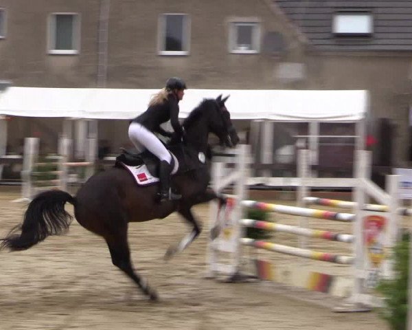 Reitturnier Buchenhof-Ibbenbüren 2016