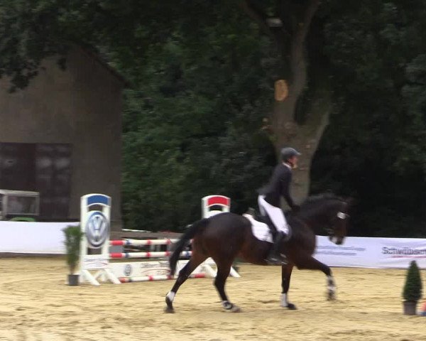 Reitturnier Buchenhof-Ibbenbüren 2016