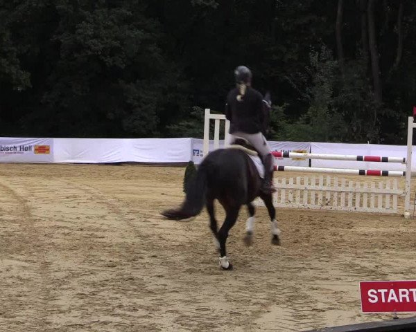 Reitturnier Buchenhof-Ibbenbüren 2016