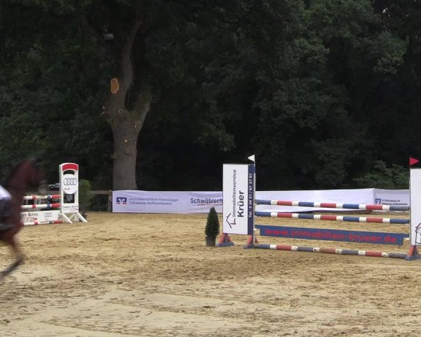 Reitturnier Buchenhof-Ibbenbüren 2016