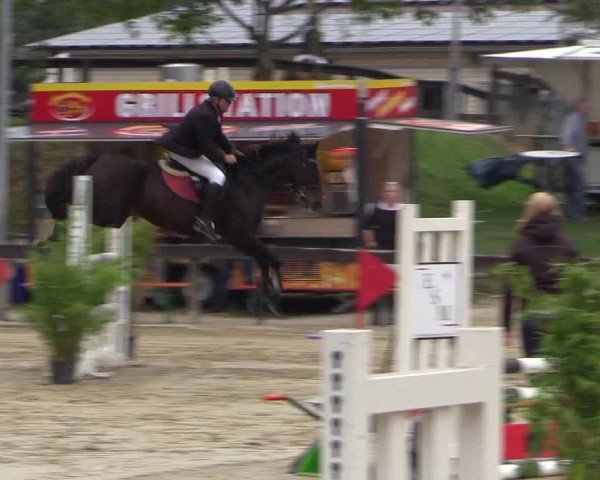 Reitturnier Buchenhof-Ibbenbüren 2016