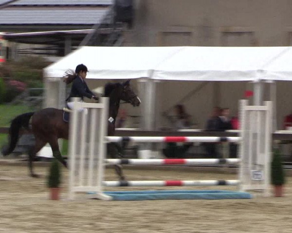 Reitturnier Buchenhof-Ibbenbüren 2016