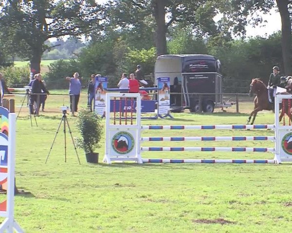 Reitturnier Großensee 2016