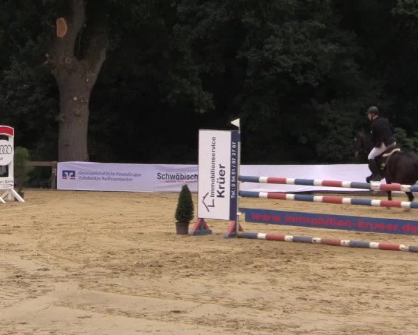 Reitturnier Buchenhof-Ibbenbüren 2016