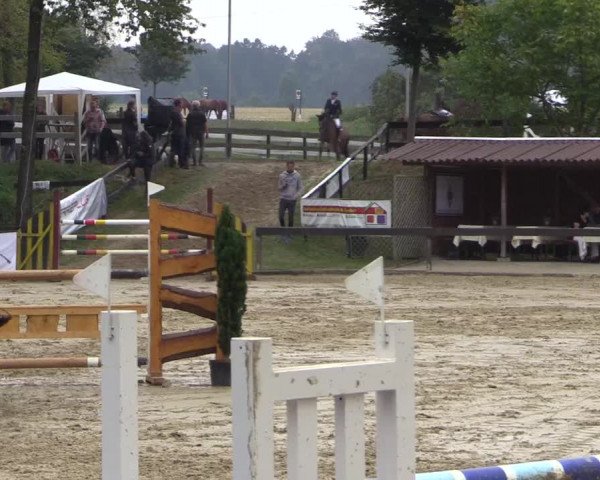 Reitturnier Buchenhof-Ibbenbüren 2016