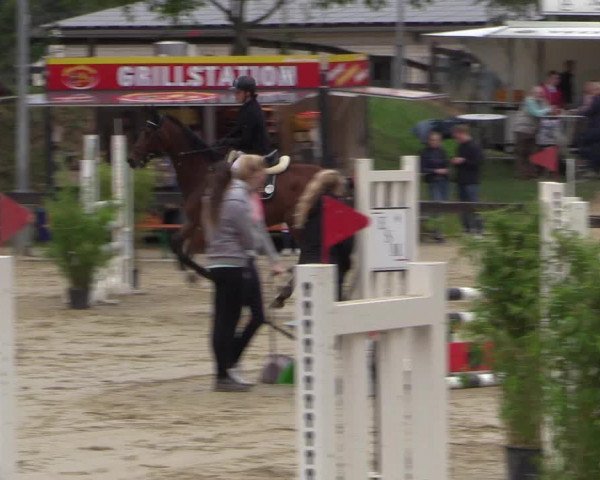 Reitturnier Buchenhof-Ibbenbüren 2016