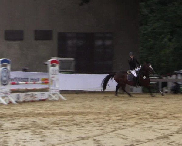 Reitturnier Buchenhof-Ibbenbüren 2016