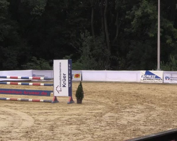 Reitturnier Buchenhof-Ibbenbüren 2016