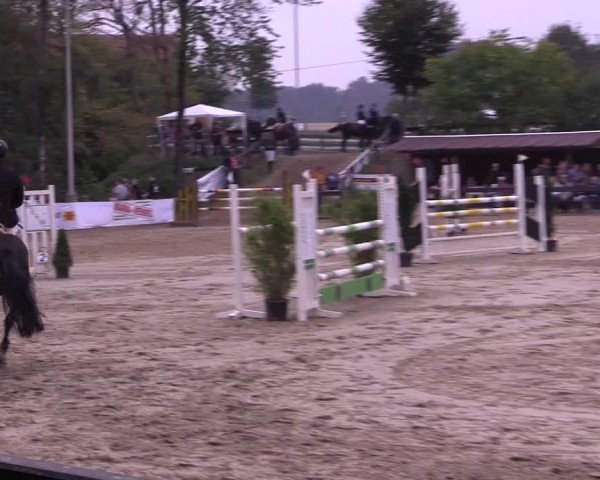 Reitturnier Buchenhof-Ibbenbüren 2016