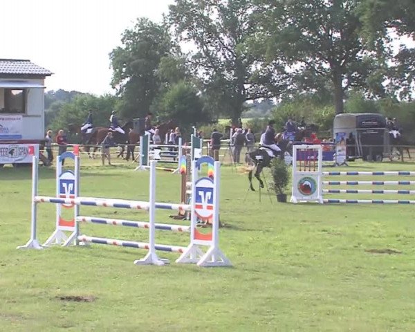 Reitturnier Großensee 2016
