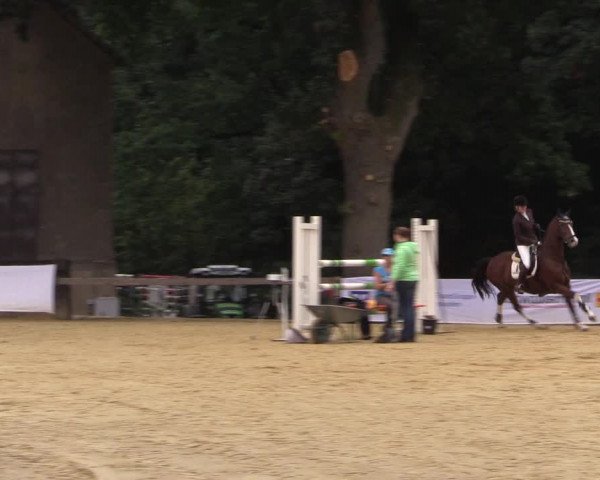 Reitturnier Buchenhof-Ibbenbüren 2016