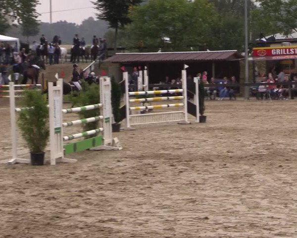 Reitturnier Buchenhof-Ibbenbüren 2016