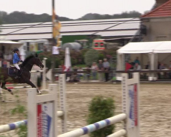 Reitturnier Buchenhof-Ibbenbüren 2016