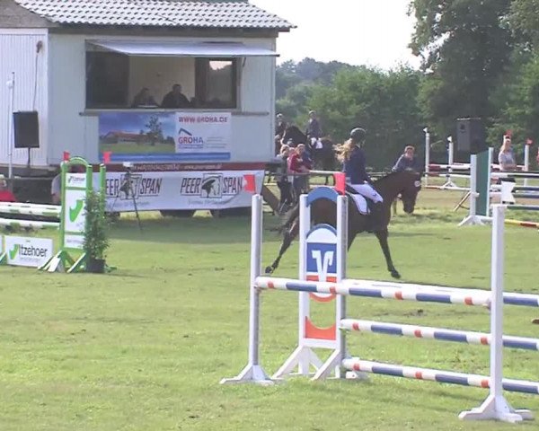 Reitturnier Großensee 2016