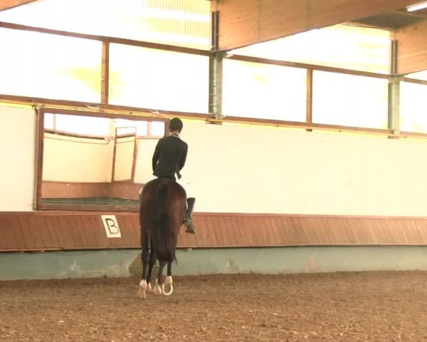 Reitturnier Meinerzhagen 2016