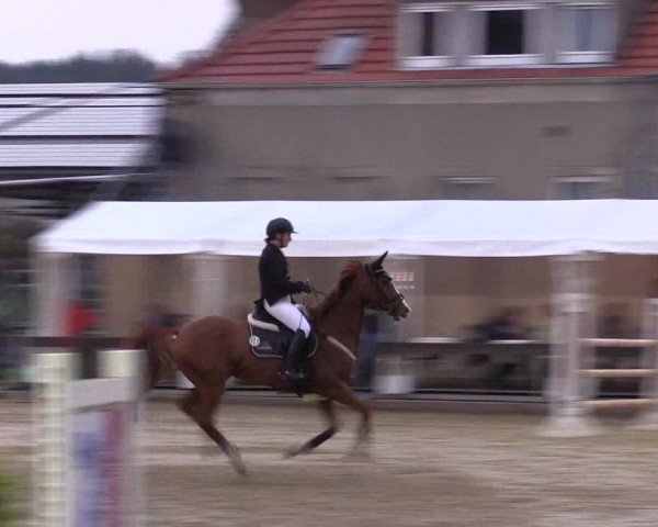 Reitturnier Buchenhof-Ibbenbüren 2016
