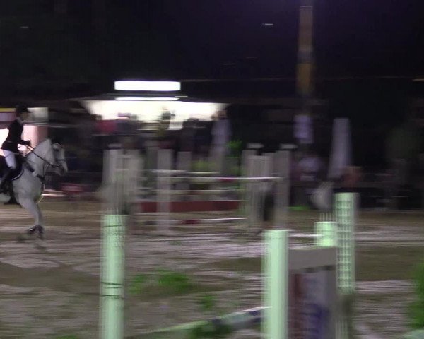 Reitturnier Buchenhof-Ibbenbüren 2016