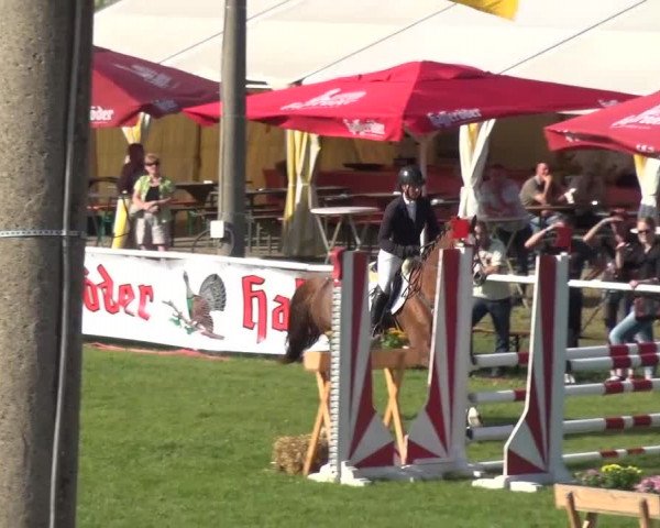 12. Allröder Reitertage 2016 - Hotelturnier