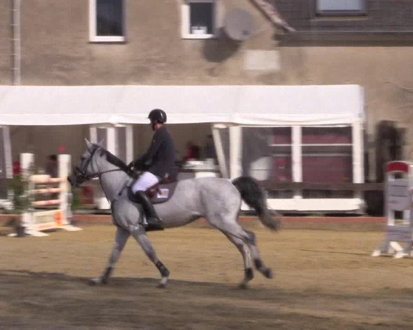 Reitturnier Buchenhof-Ibbenbüren 2016