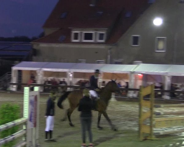 Reitturnier Buchenhof-Ibbenbüren 2016