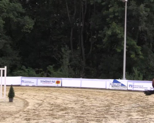 Reitturnier Buchenhof-Ibbenbüren 2016