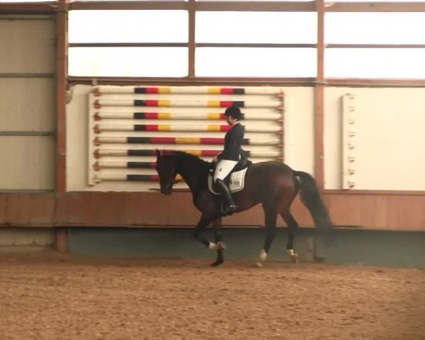 Reitturnier Meinerzhagen 2016