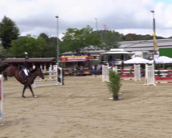 Reitturnier Buchenhof-Ibbenbüren 2016