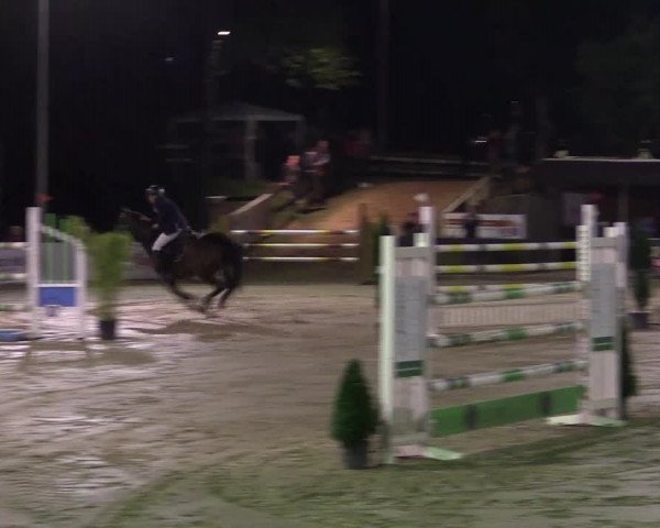 Reitturnier Buchenhof-Ibbenbüren 2016