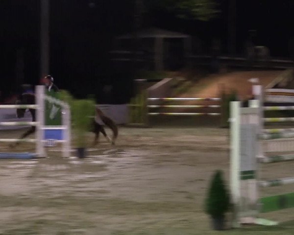 Reitturnier Buchenhof-Ibbenbüren 2016