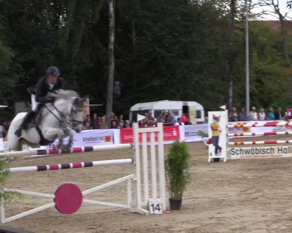 Reitturnier Buchenhof-Ibbenbüren 2016