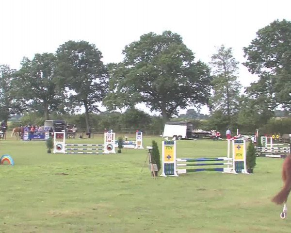 Reitturnier Großensee 2016