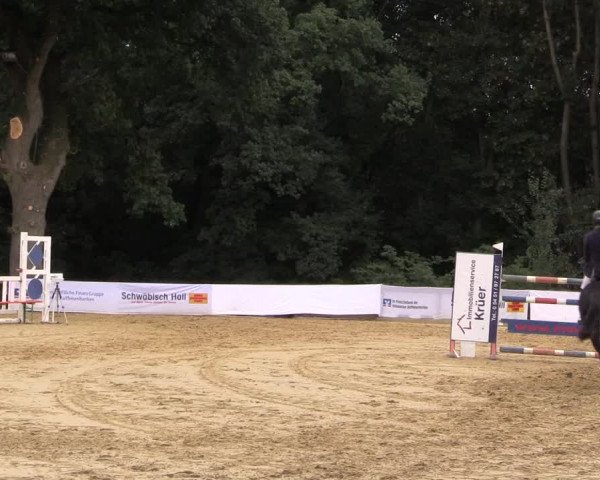 Reitturnier Buchenhof-Ibbenbüren 2016