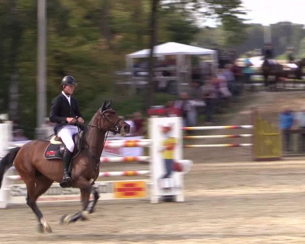 Reitturnier Buchenhof-Ibbenbüren 2016