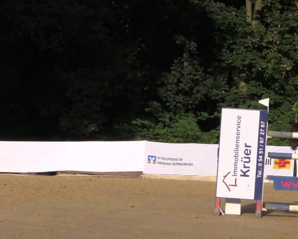 Reitturnier Buchenhof-Ibbenbüren 2016