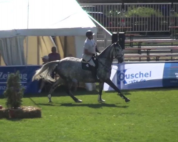 12. Allröder Reitertage 2016 - Hotelturnier