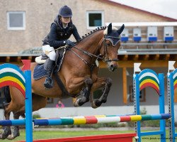 jumper Aischbachhofs Laios (Holsteiner, 2011)