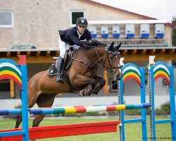 Springpferd Hummel 84 (Hannoveraner, 2007, von Stakkato)