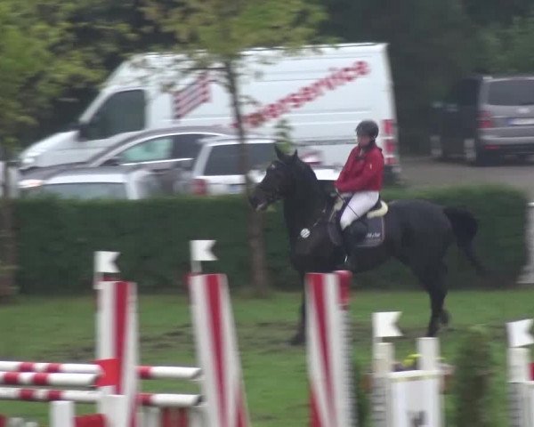 12. Allröder Reitertage 2016 - Hotelturnier