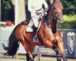 jumper Quality Rubinja (Oldenburg, 2007, from Quality 9)