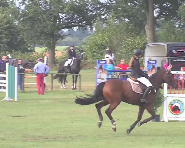 Reitturnier Großensee 2016