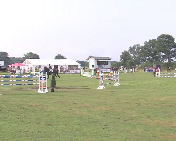 Reitturnier Großensee 2016