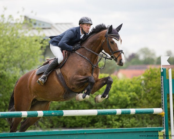 broodmare Cleopatra 269 (Württemberger, 2011, from Ciacomo)