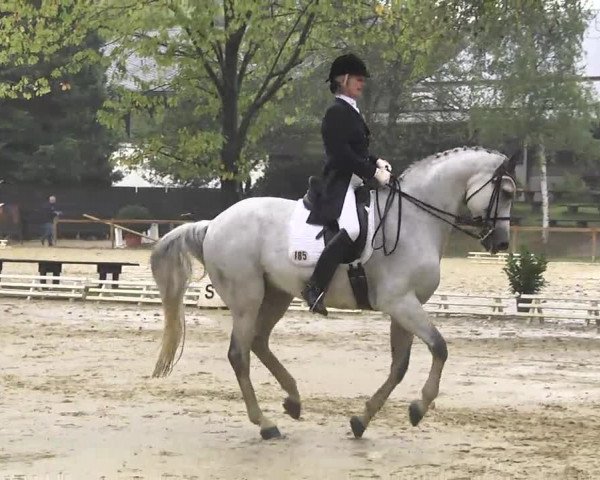 Nordbadische Meisterschaften Dressur 2016