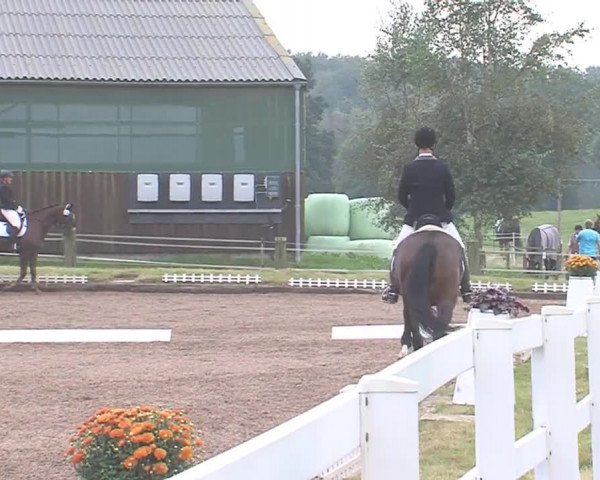 Reitturnier Großensee 2016